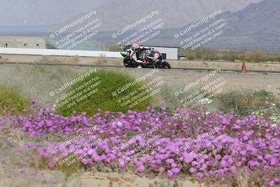 media/Feb-04-2023-SoCal Trackdays (Sat) [[8a776bf2c3]]/Turn 15 Inside Blooming (1050am)/